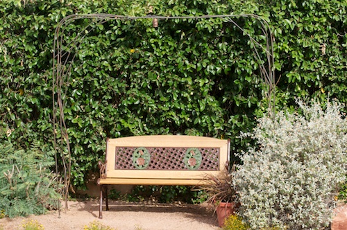 Painted steel & wood bench with arbor 