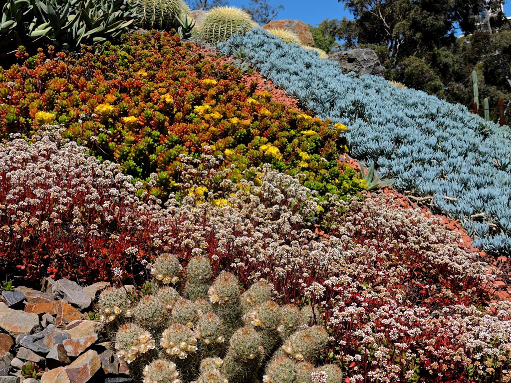 Guilfoyle’s Volcano  Royal Botanic Garden, Melbourne, Australia
