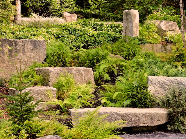 Granite features among the ferns