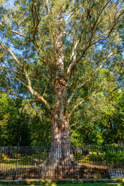 20251001Guernica5271