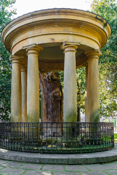 20251001Guernica5273