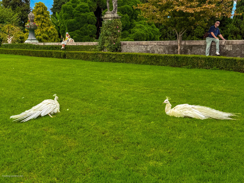 20250908untitled-shoot2053