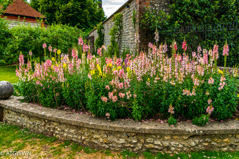 20250621Mottistone3243
