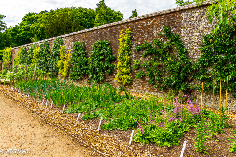 20250621Mottistone3290