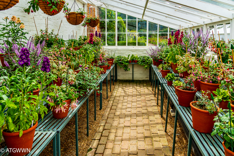20250621Mottistone3317