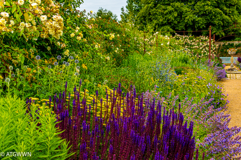 20250621Mottistone3339
