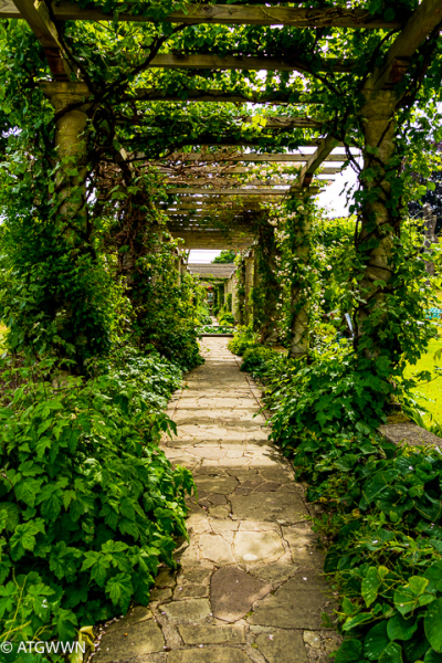 20250621Mottistone3347