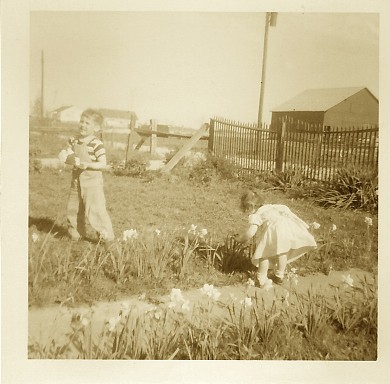 Irresistible Daffodils