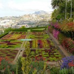 Madeira, Portugal, Island of Flowers