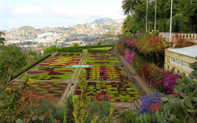 Madeira, Portugal, Island of Flowers