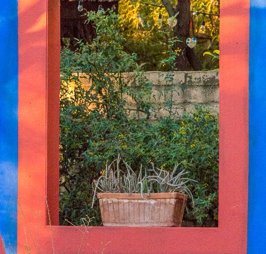 Casa Azul at Tucson Botanical Garden