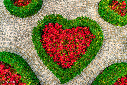 Garden of Hearts