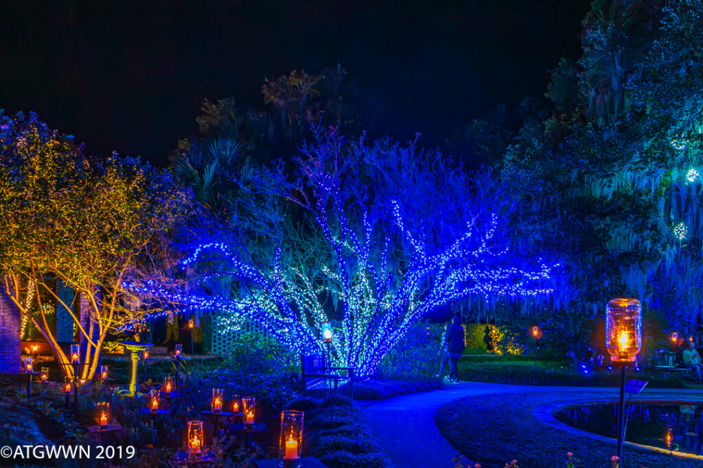 holiday-lights-xmas-blue-tree