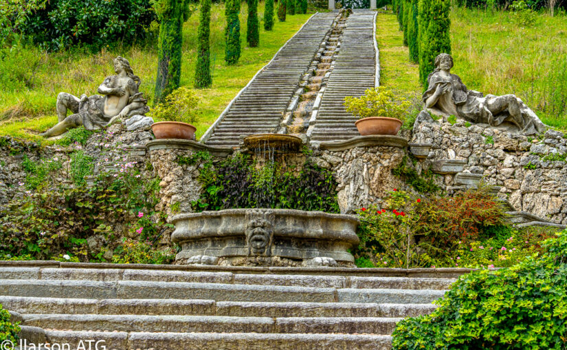 One step at a time into the new year