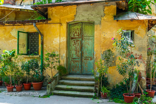 People need Parks and Gardens and the Parks and Gardens need care.