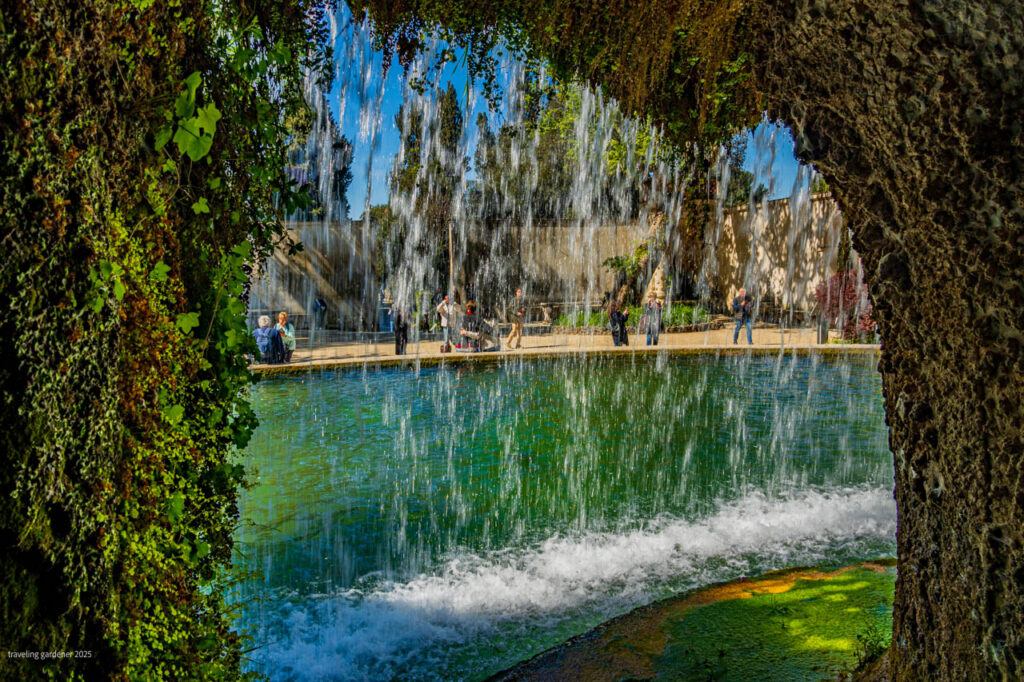 Lush ivy-framed grotto overlooking a turquoise pool with a cascading waterfall and visitors along the edge.