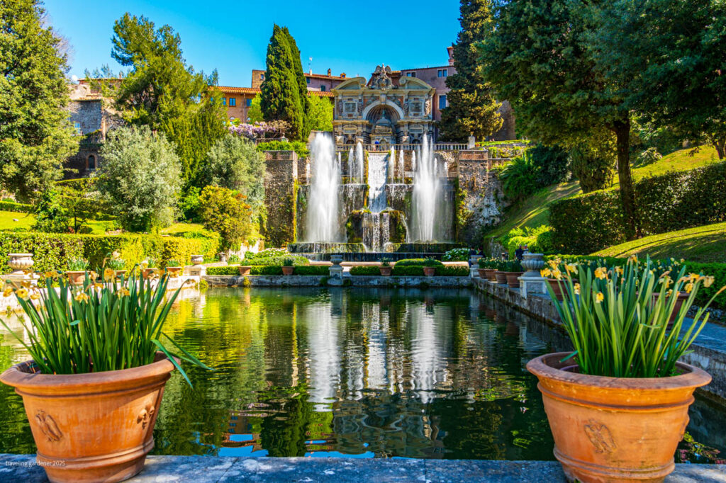 Terraced garden with a central multi-level fountain, surrounded by trees and potted irises reflecting in a rectangular pond.