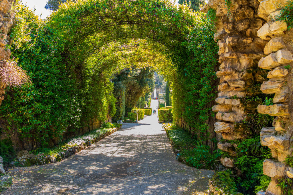 Stone archway of green vines over a sunlit garden path that narrows toward a distant fountain or statue area.