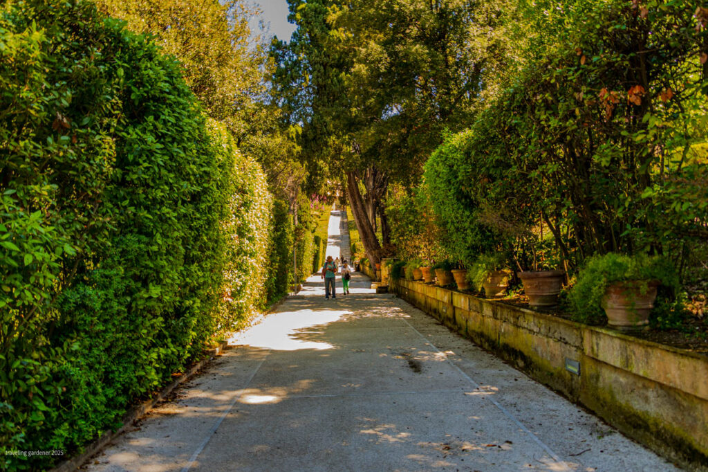 Sunlit garden path bordered by tall hedges and potted plants, with a small group walking in the distance.