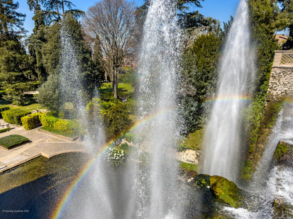 Fountain with multiple jets spraying water in a sunlit garden; a rainbow arches over the pool and greenery.