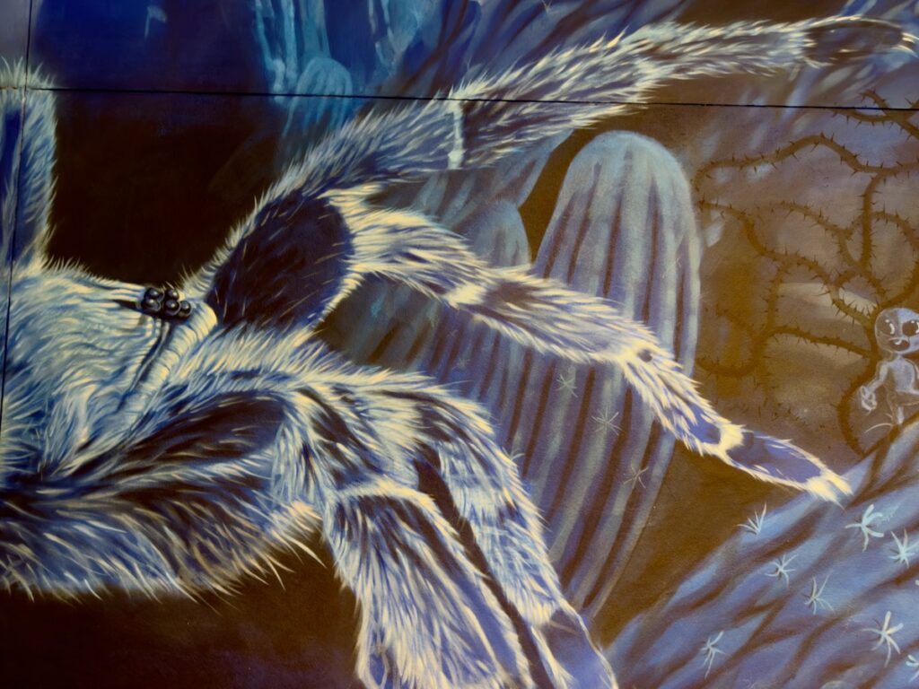 Blue-toned mural of a large hairy spider with outstretched legs on a desert wall.