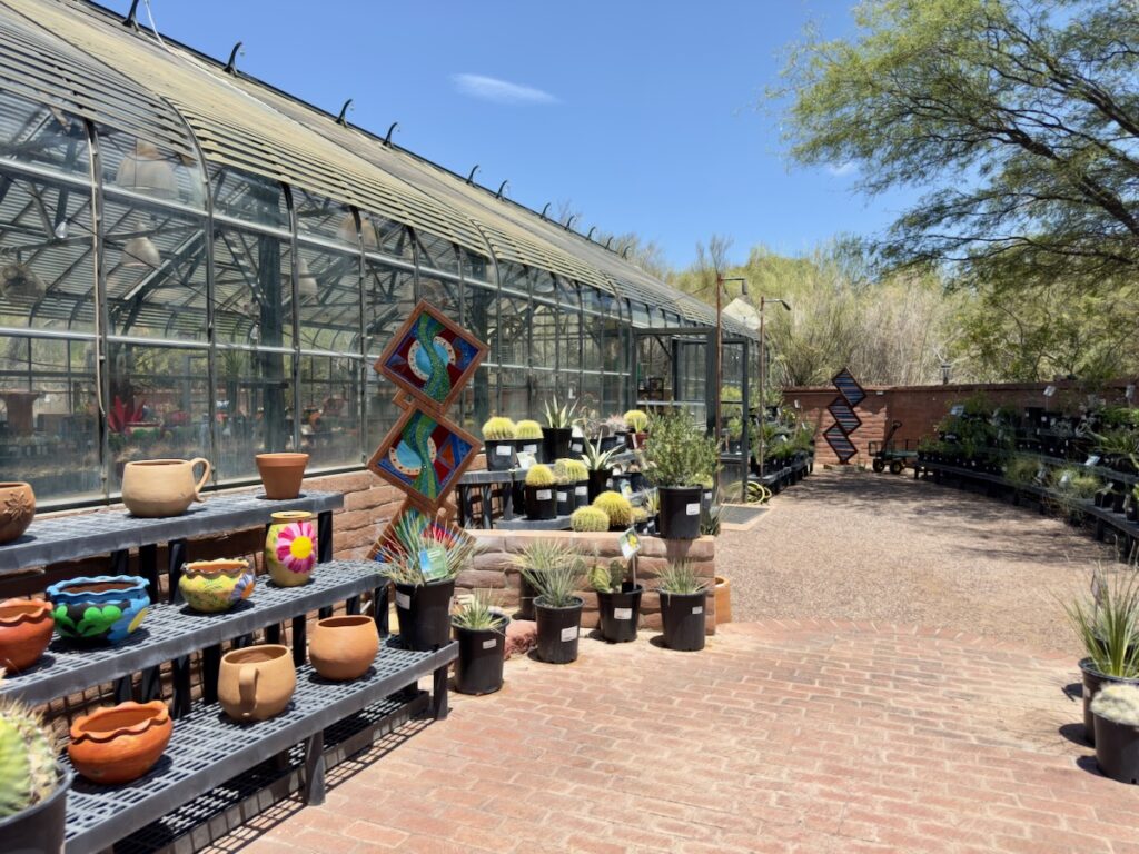 Outdoor plant nursery with a glass greenhouse, brick path, and shelves of colorful pots and cacti.
