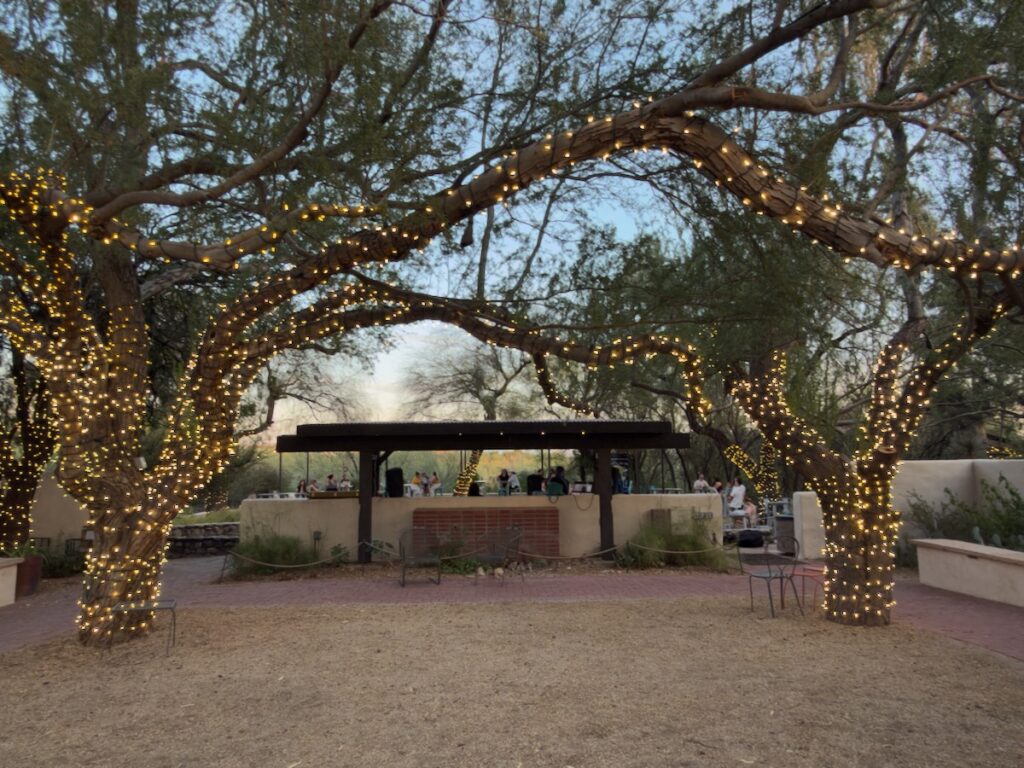 Outdoor courtyard at dusk with trees wrapped in fairy lights and people gathered near a pavilion.