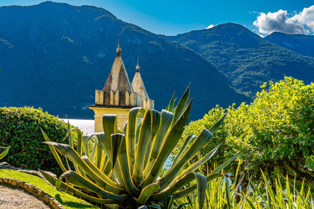 Aggressive succulent foreground with large green-yellow variegated leaves, a decorative stone turret in midground, and blue mountains and lake in the distance.