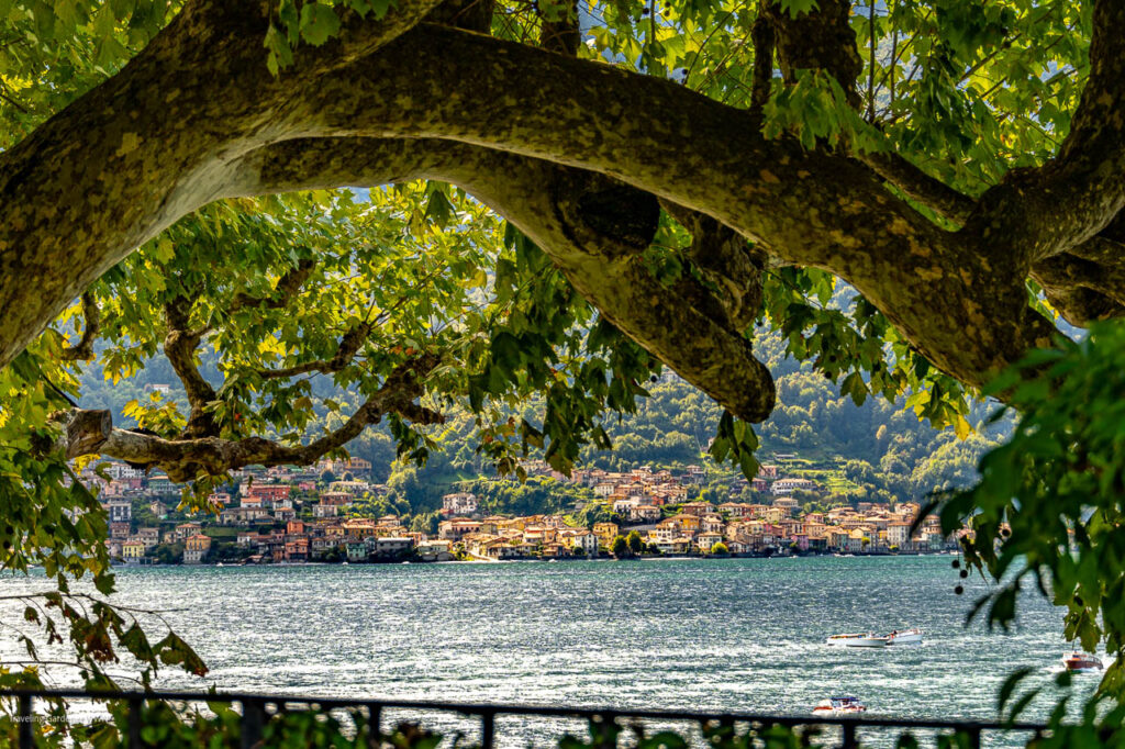 Lakeside town viewed through overhanging tree branches and leaves framing the scene.